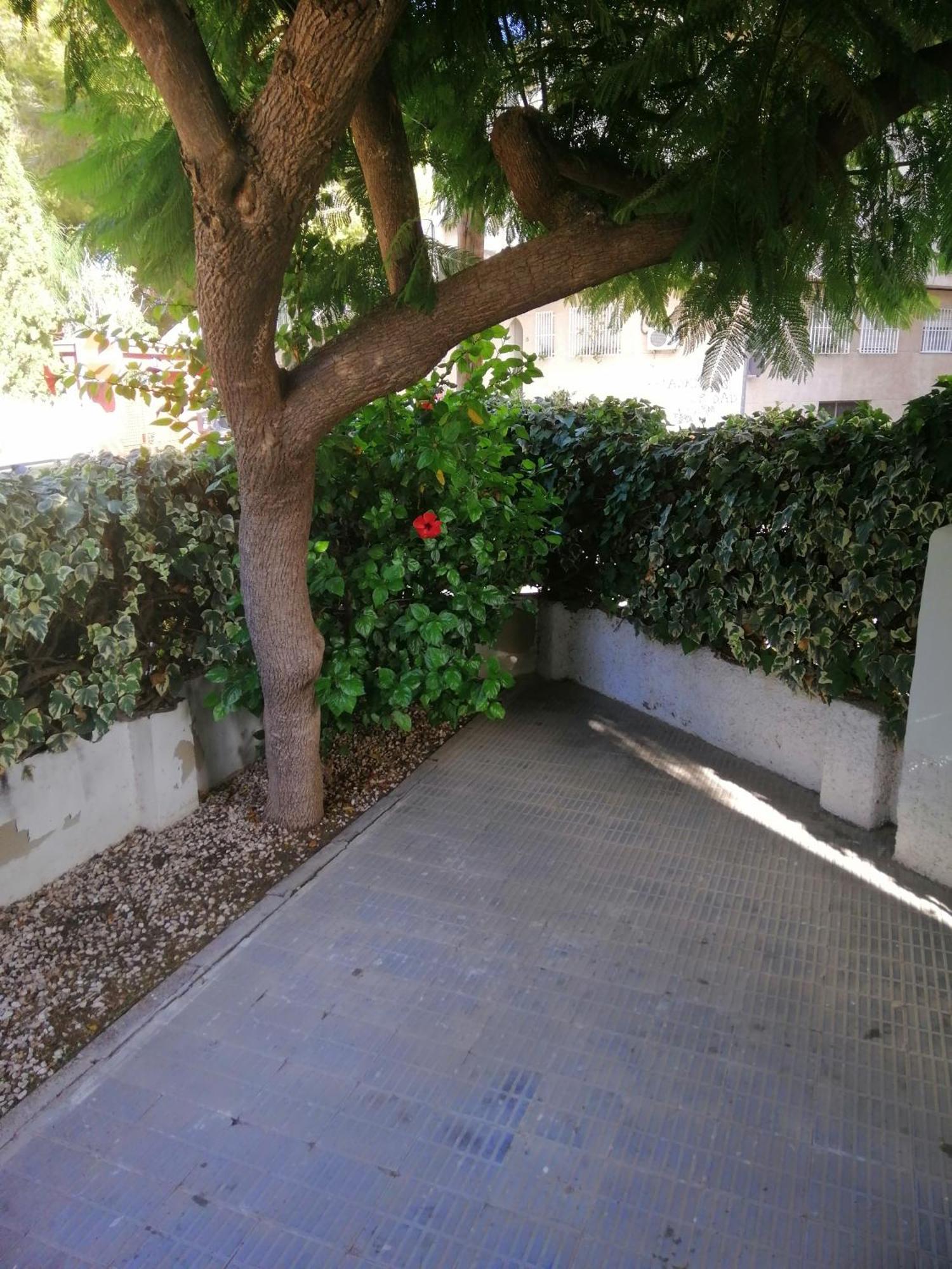 Chalet II Con Jardin Y Wifi En La Playa San Pedro del Pinatar Exteriér fotografie